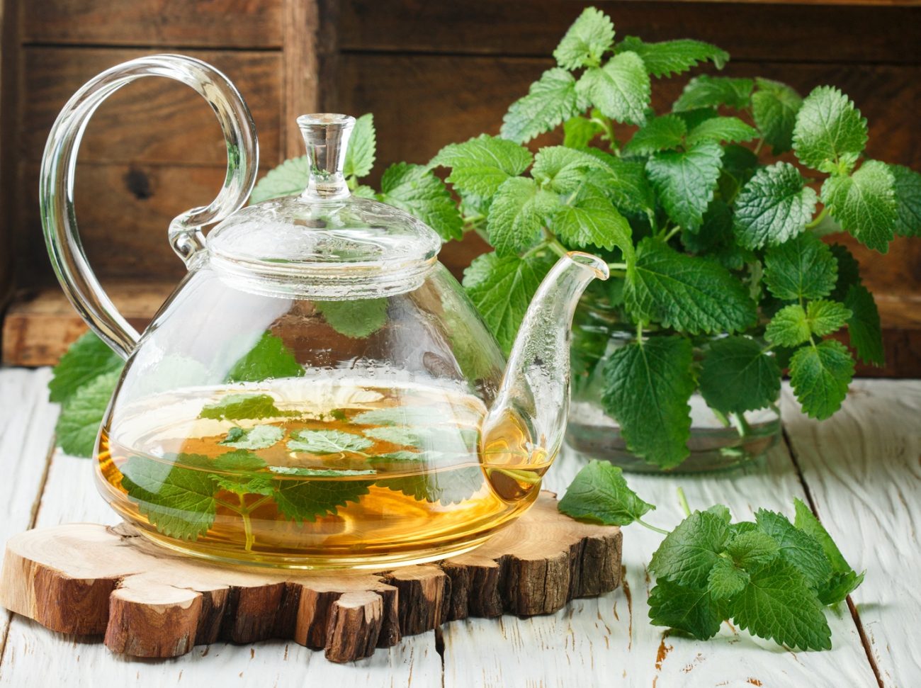 Lemon balm (Melissa officinalis)