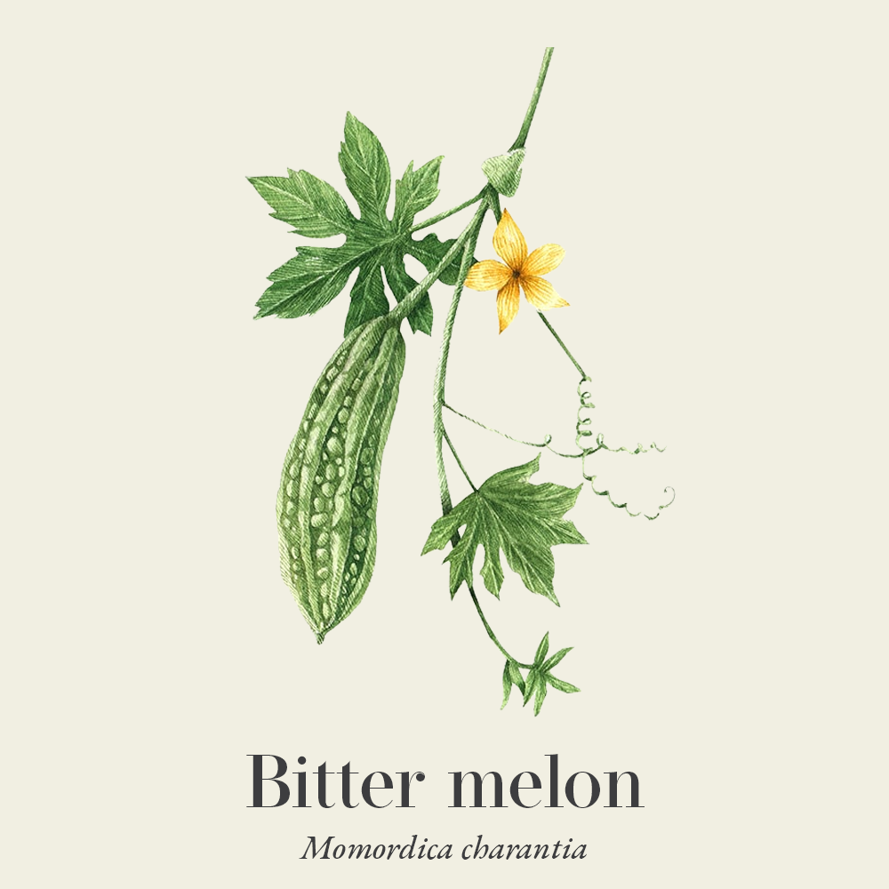 Bitter melon (Momordica charantia)
