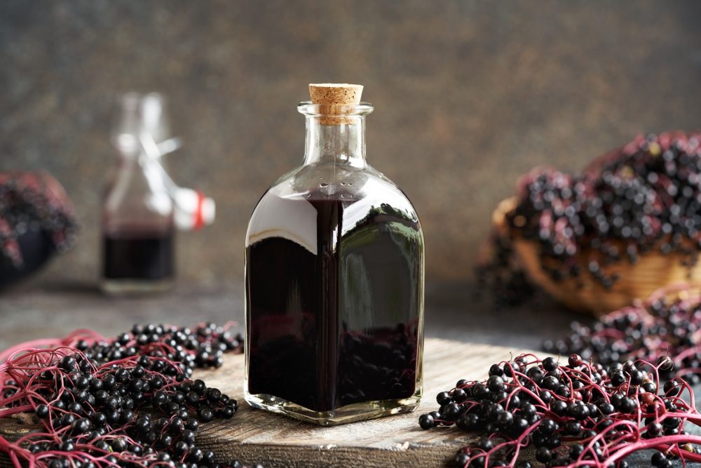 Elderberry (Sambucus nigra)