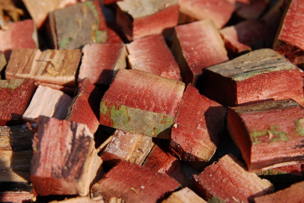 Arjuna (Terminalia arjuna)