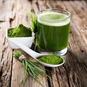 Spirulina plant and powder (Arthrospira platensis)