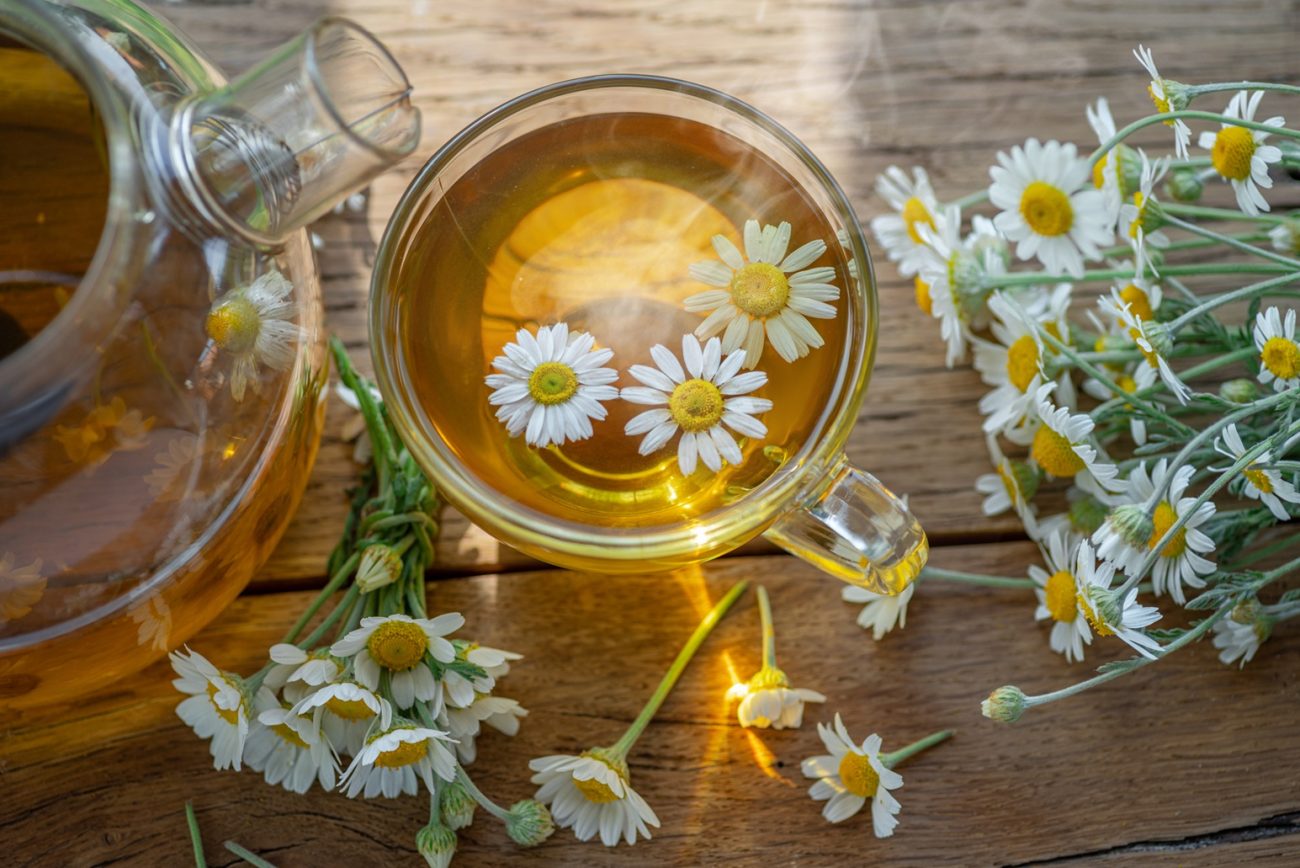 Chamomile tea (Matricaria chamomilla)