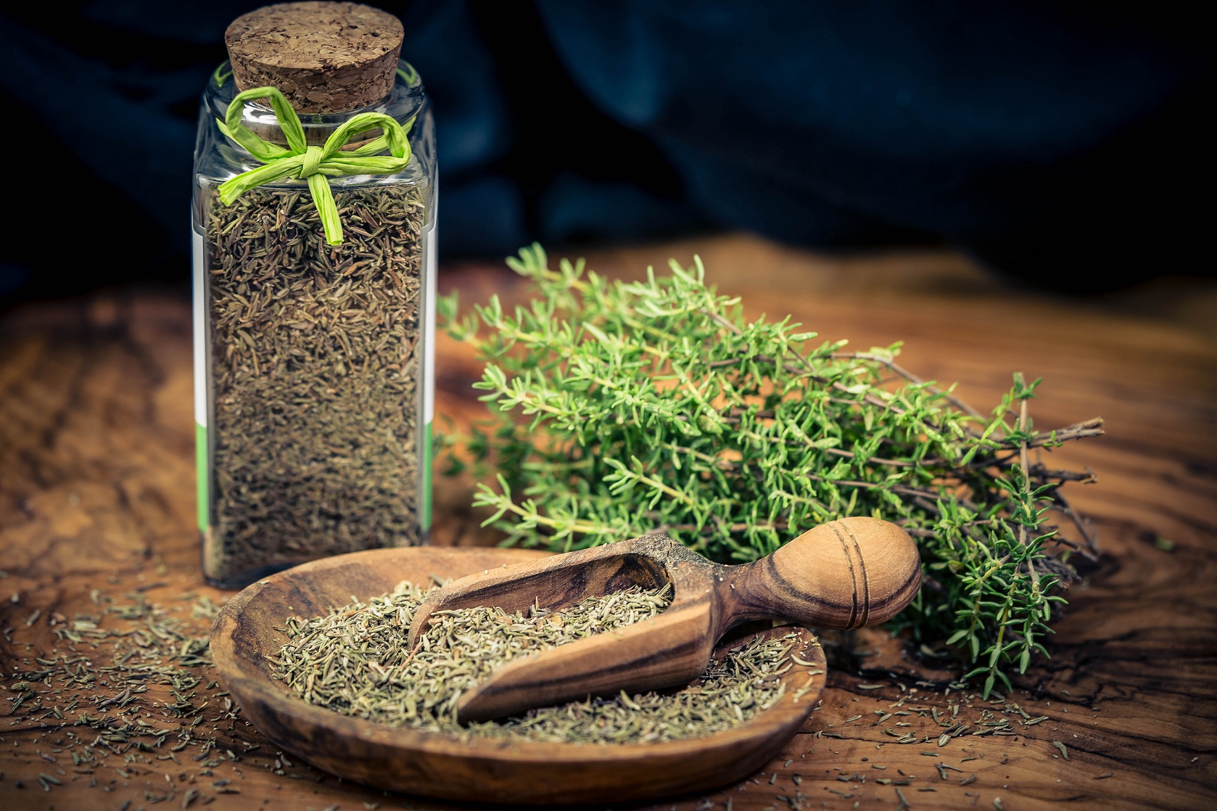 Thyme (Thymus vulgaris)