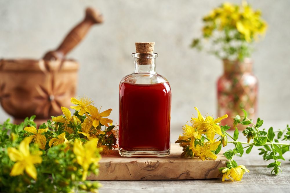 St John's wort (Hypericum perforatum)