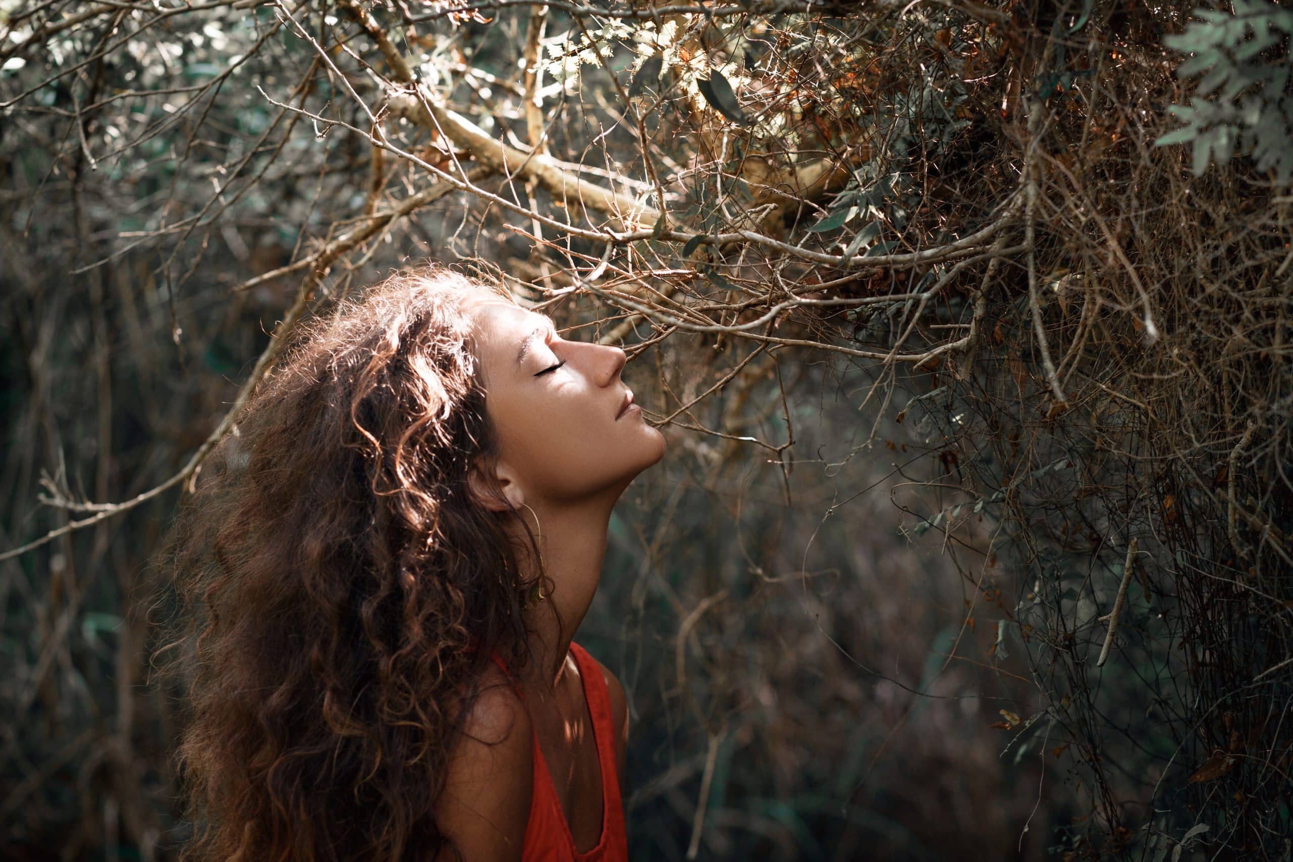 Your Ayurvedic menstrual cycle
