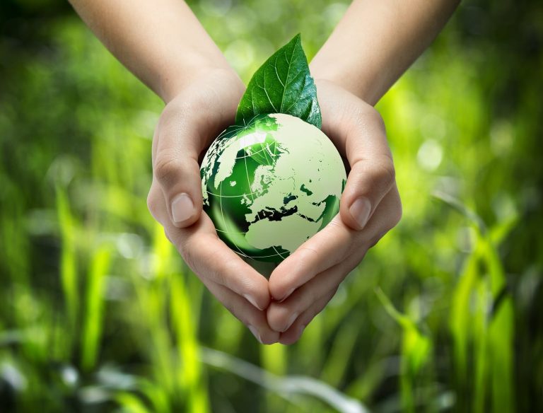 Healing the whole: How herbs can change the world through a holistic approach