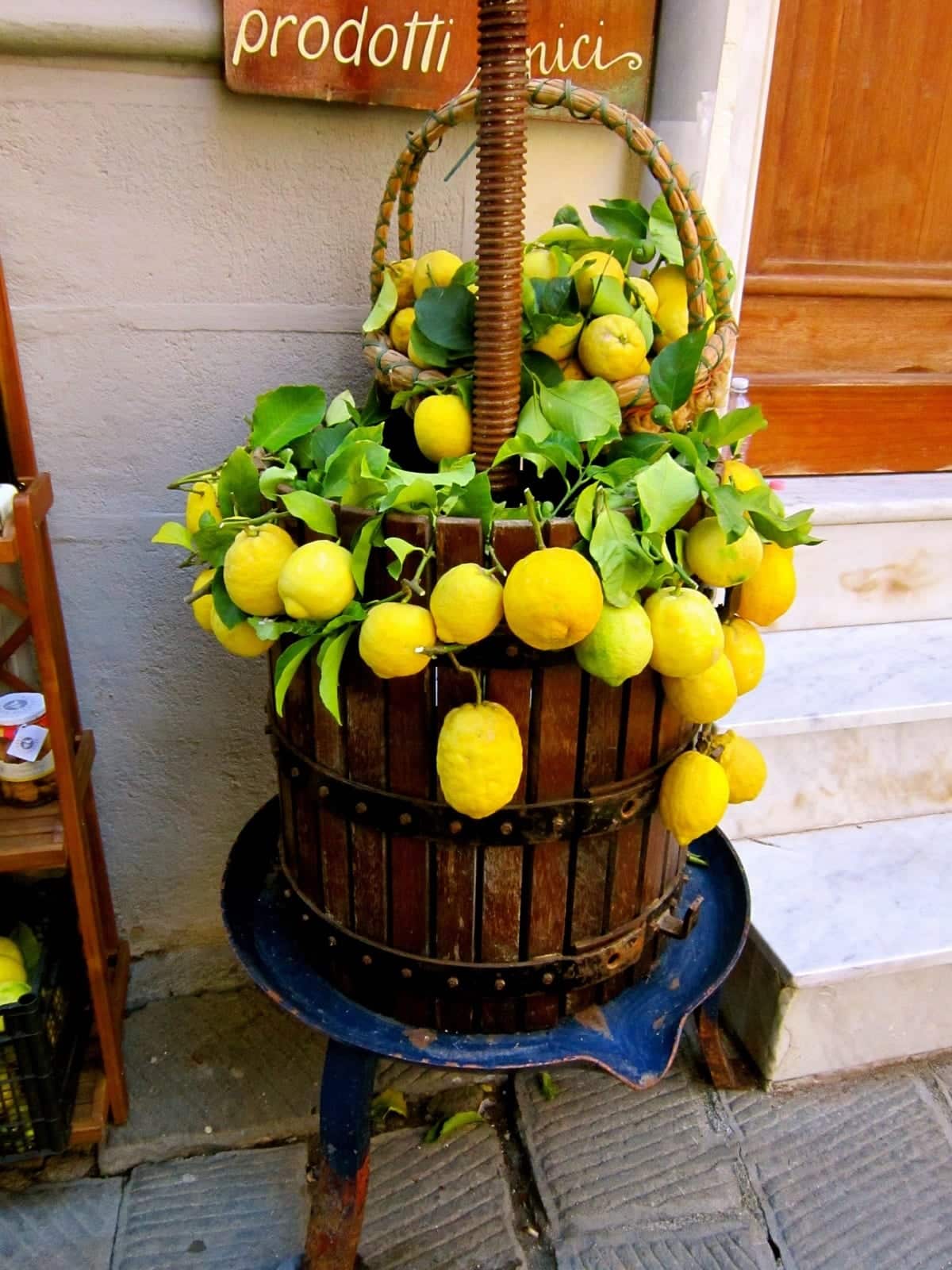 Lemon (Citrus limonum)