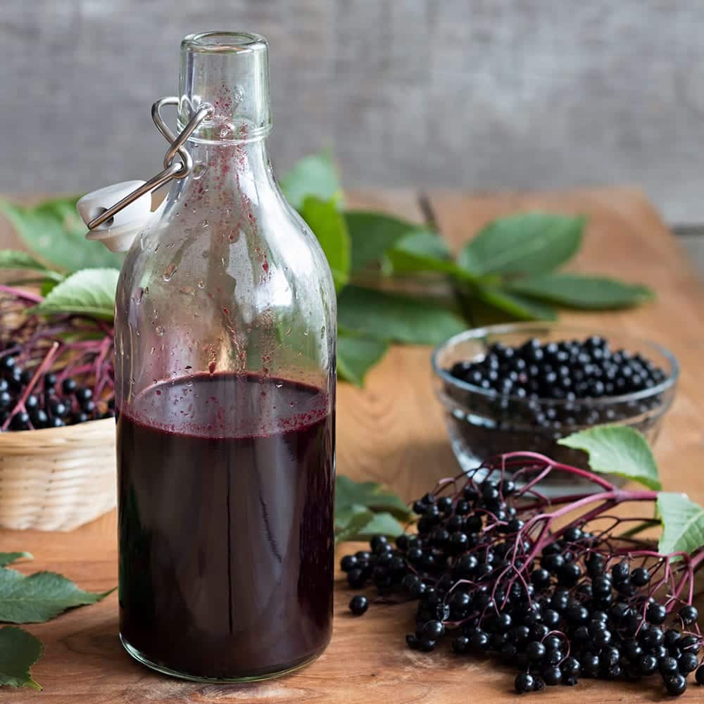 Elderberry syrup (Sambucus nigra)