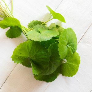 Gotu kola (Centella asiatica)