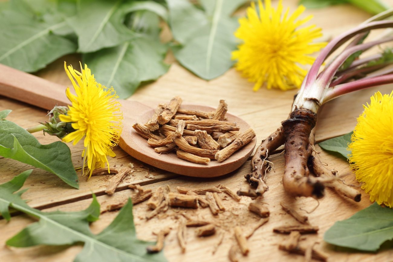 Dandelion root (Taraxacum officinale)