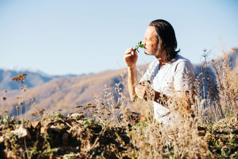 First do no harm: A call for sustainable herbalism in clinical practice