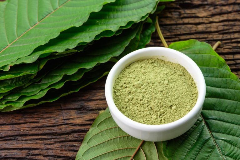 Kratom leaf: An alternative to opioids for chronic pain management?