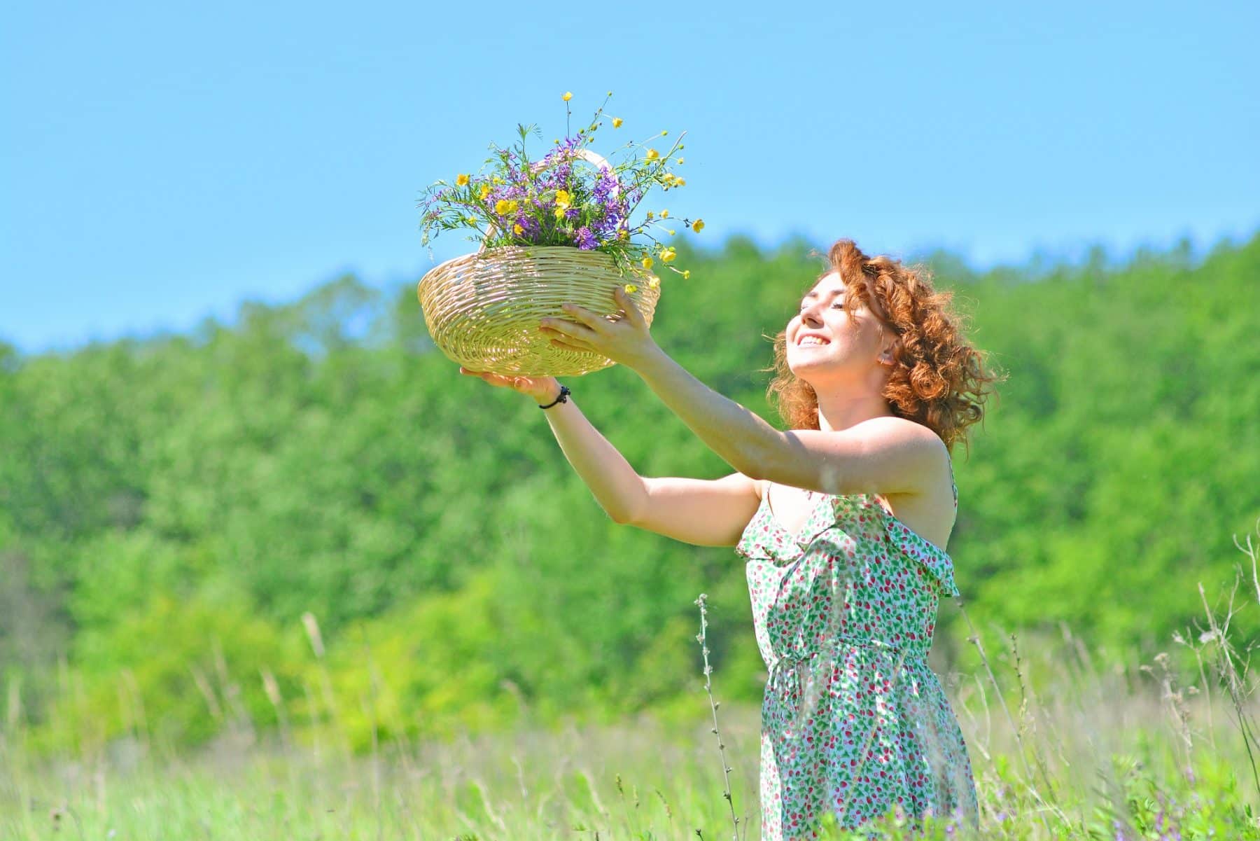 Endangered plants and women’s health: Fertility herbs at risk