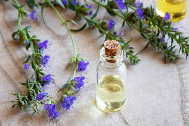 Essential oils for treating inflammation: An aromatherapist’s perspective