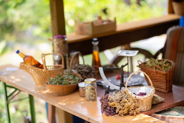Herbal festival survival guide