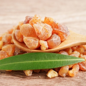 Frankincense (Boswellia serrata)