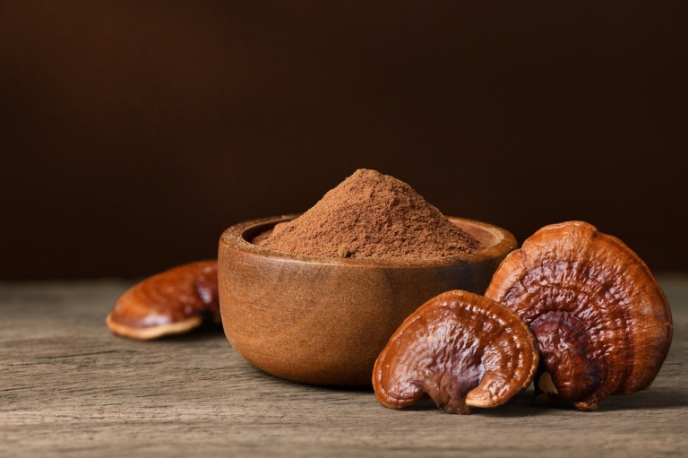 Medicinal mushrooms: An introduction