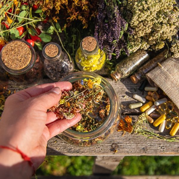 Historical Perspectives On Traditional Herbal Medicine
