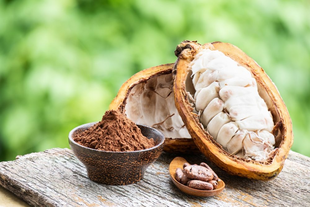 Cacao (Theobroma cacao)