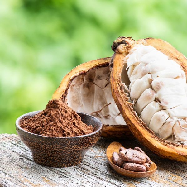Cacao (Theobroma cacao)