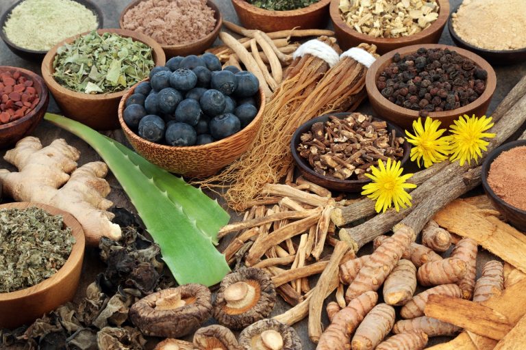 The history of adaptogens