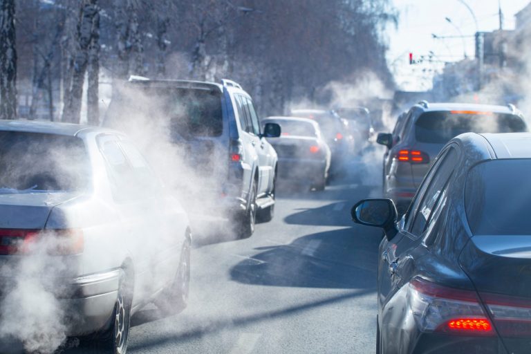 Pollutants, pesticides and our microbiome: How they all affect allergies