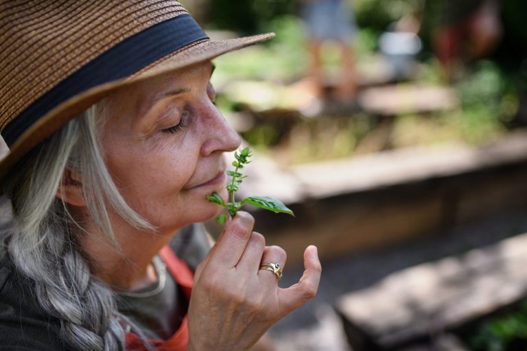 Primitive sense and the intuitive mind: Sensory herbal medicine