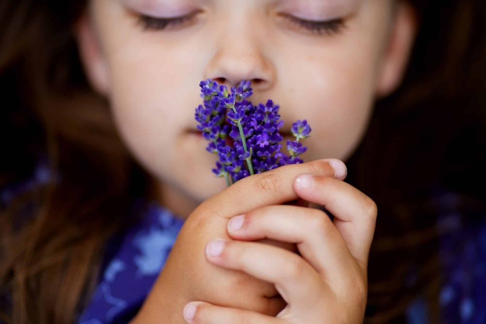 Medicine making with children: Recipes to try at home