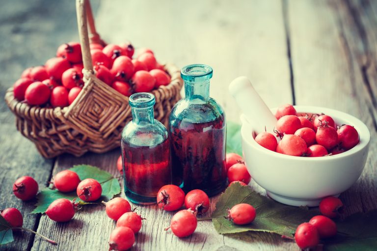 Edible plants to forage in September