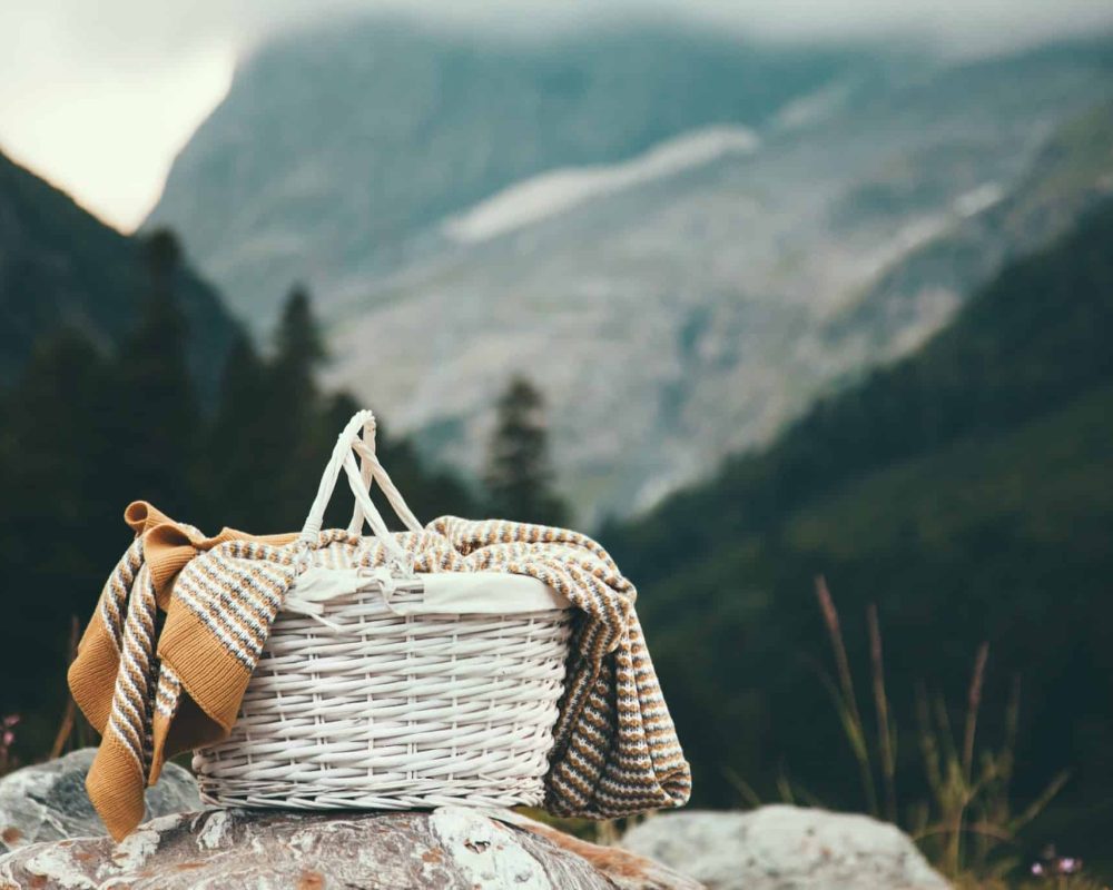 Plants to forage in January