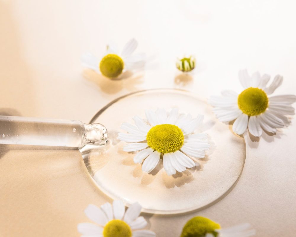 Research seeds Chamomile