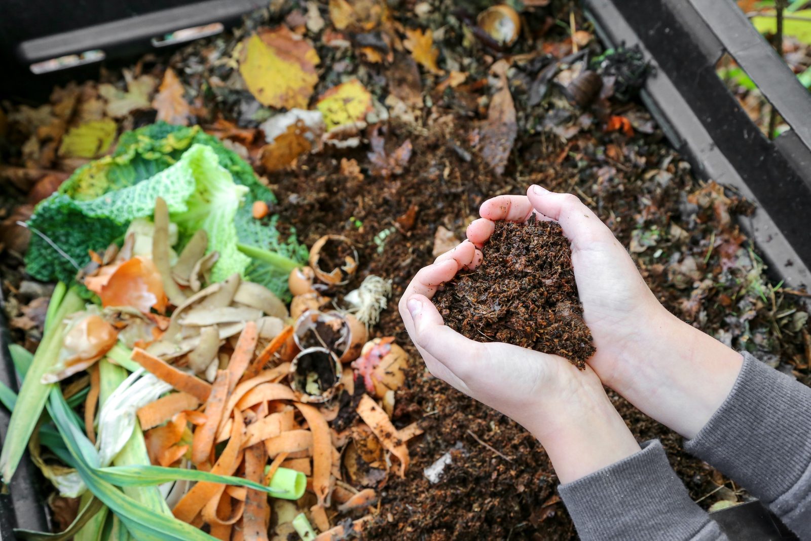 How to make your own compost - Herbal Reality