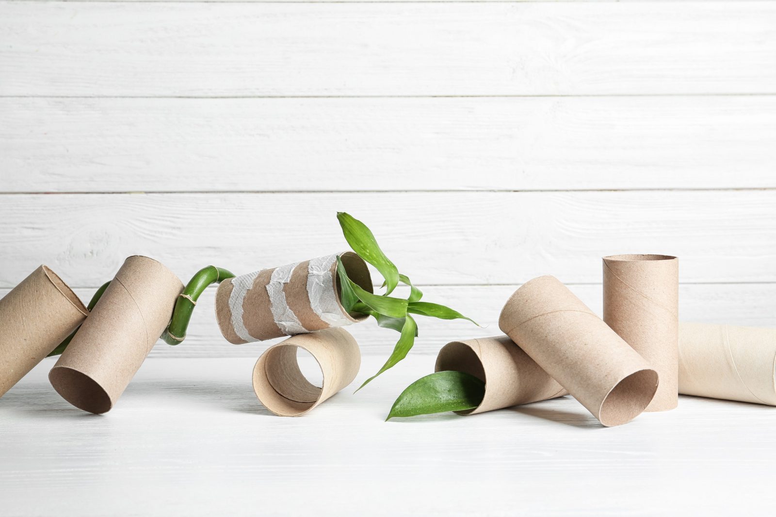 bamboo toilet paper