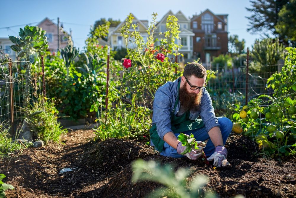 Growing in the city: How to do it and why we should