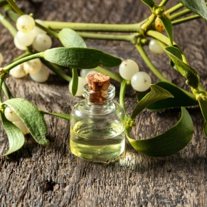 Mistletoe oil (Viscum album)