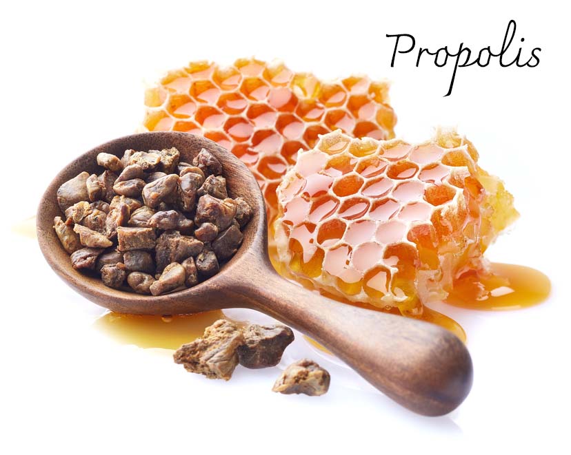 Propolis Romanesc Propolis: Medicinal Benefits, Uses, Safety, Research | Herbal Reality
