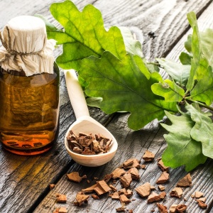 Oak tincture and oak bark (Quercus robur)