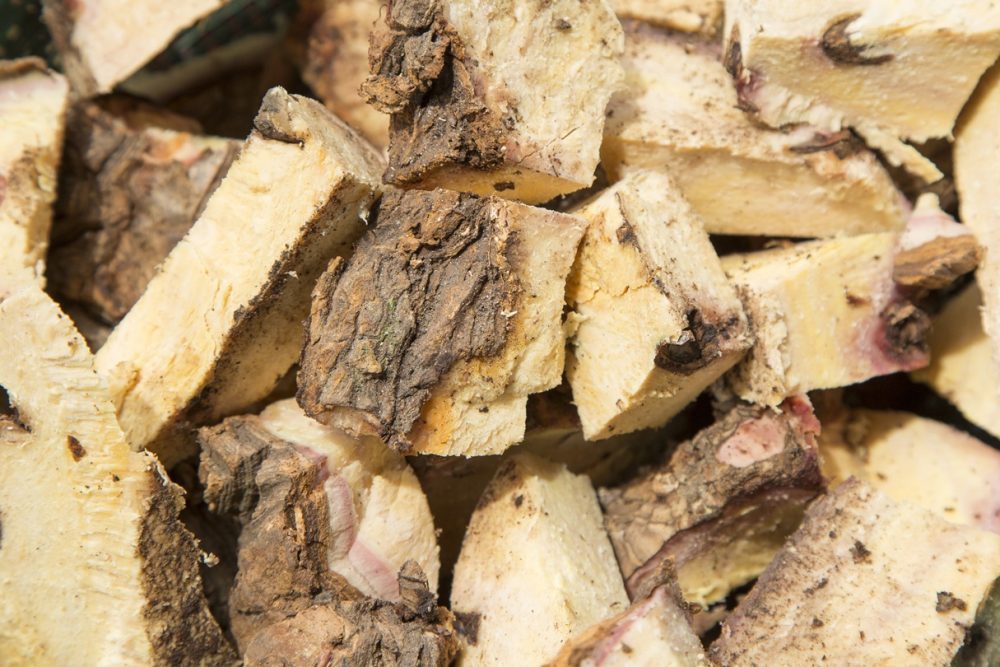 Sarsaparilla root (Smilax aspera)