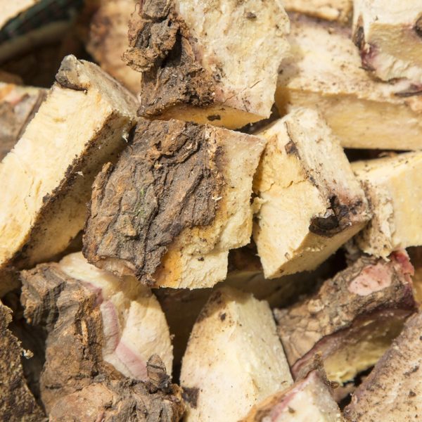 Sarsaparilla root (Smilax aspera)