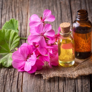 Rose geranium oil (Pelargonium graveolens)