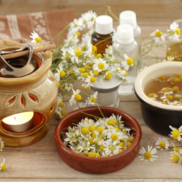 Chamomile (Matricaria chamomilla)