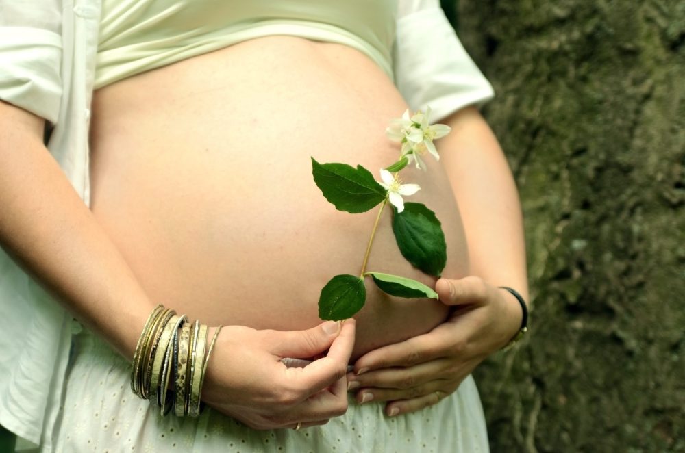 Pregnancy an ayurvedic perspective