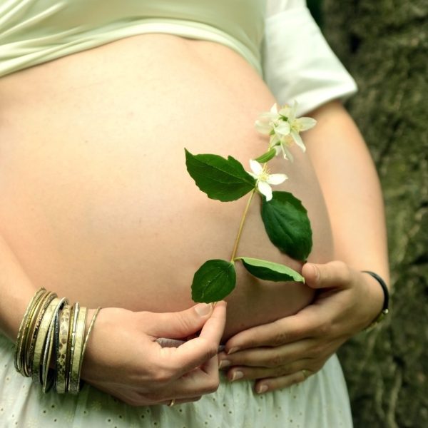 Pregnancy an ayurvedic perspective