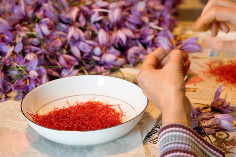 Saffron and ginger study: Effects on blood pressure and endothelial function in type II diabetics