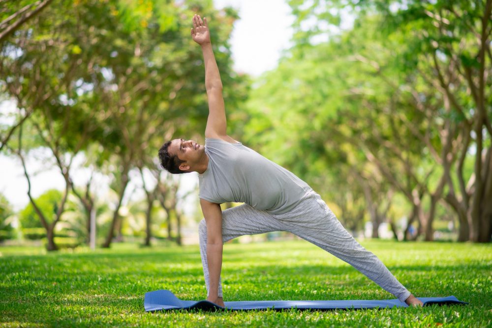 Immune health An Ayurvedic perspective
