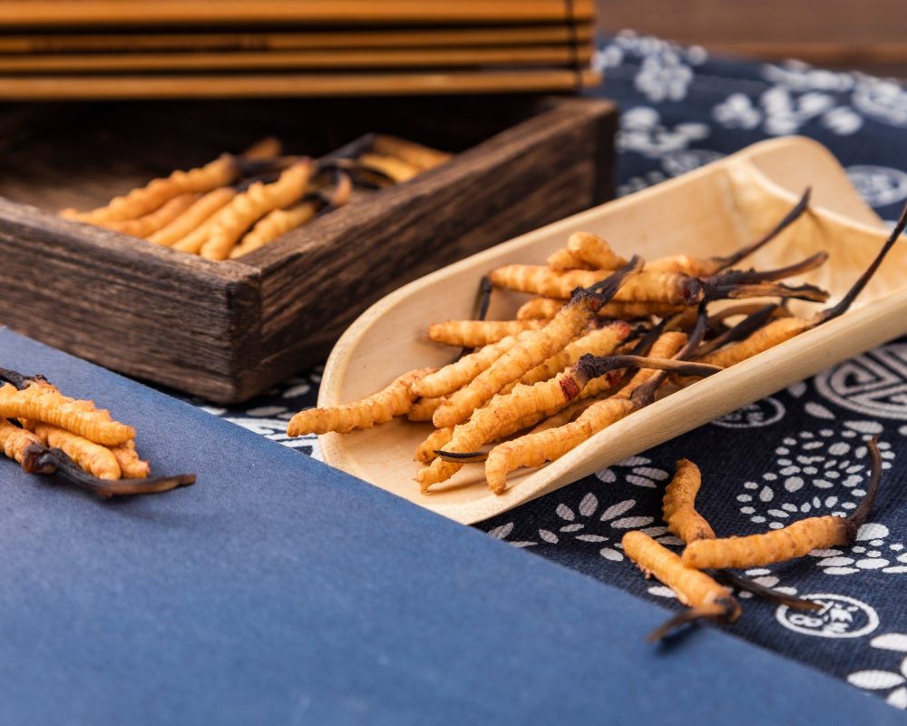 The Sustainability Of Cordyceps