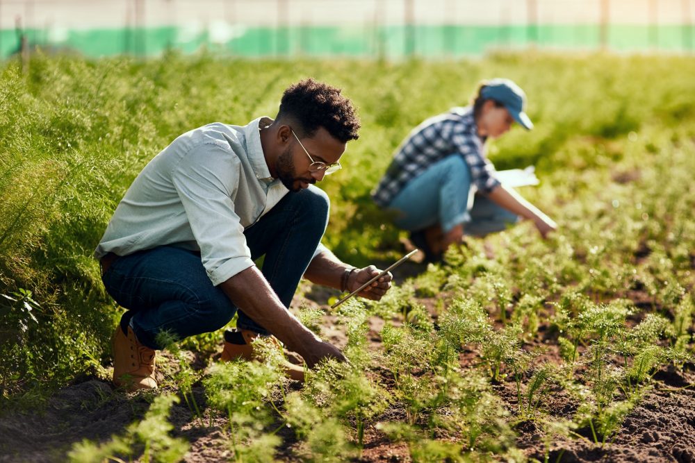 Equitable farming for medicinal herbs