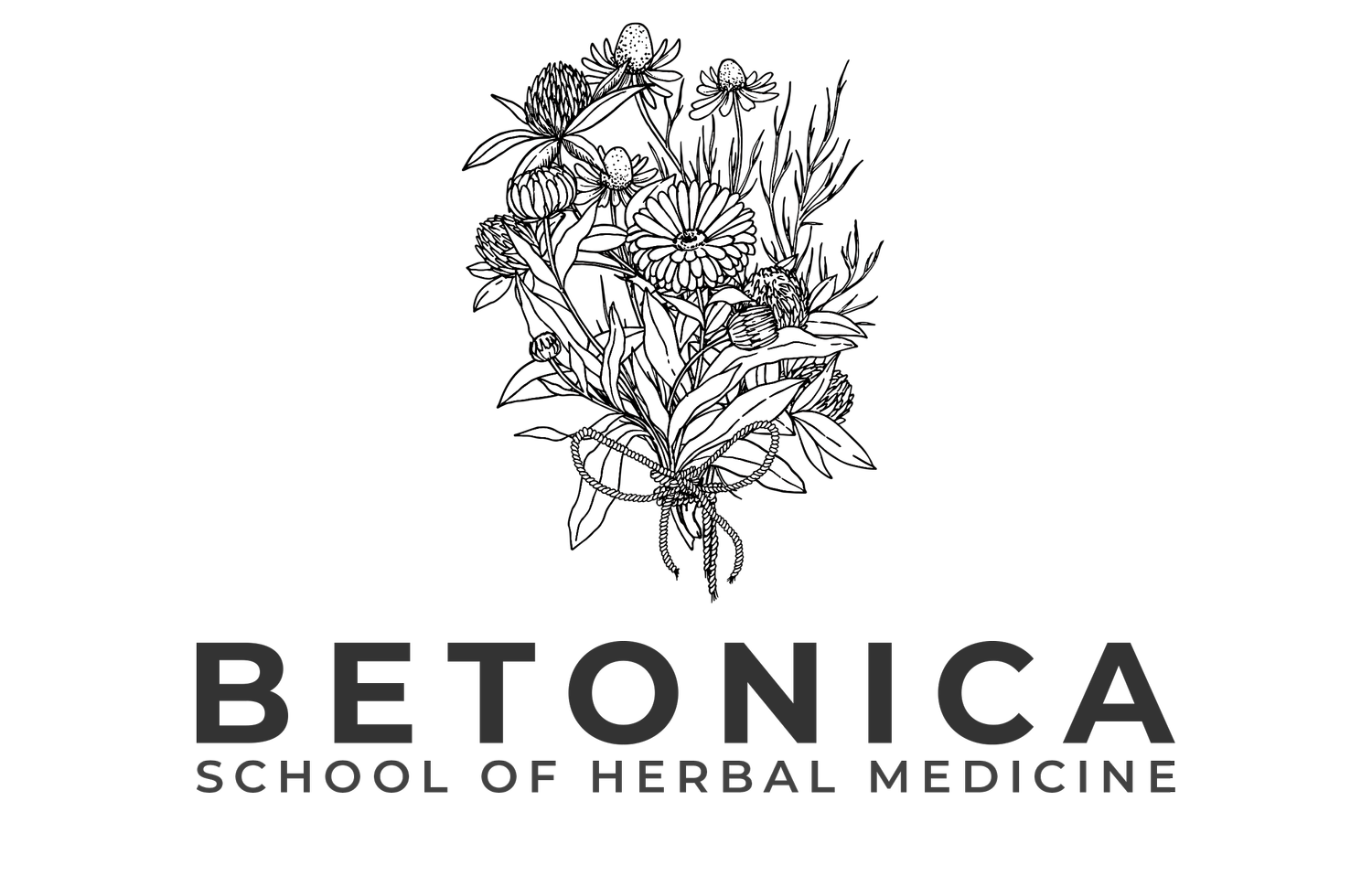 Betonica School Of Herbal Medicine