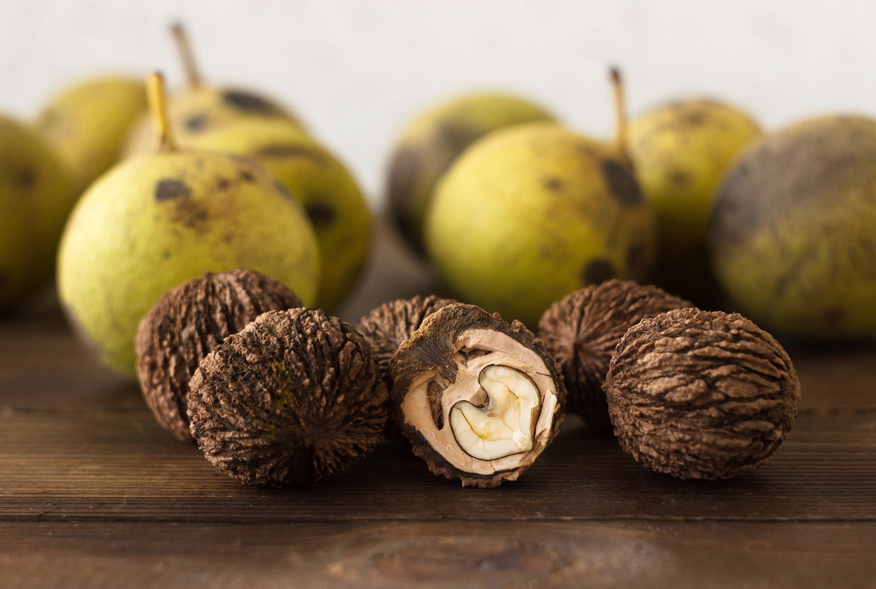 Black Walnut Juglans Nigra Benefits Uses Safety Herbal Reality Black Walnut Juglans Nigra Benefits Uses Safety Herbal Reality