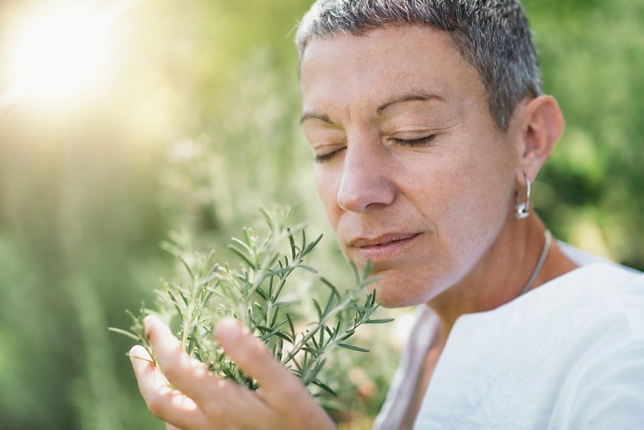 Unique Ways That Plant Medicine Can Fill Modern Therapeutic Gaps